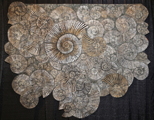 Pyrite Ammonites - by Kimberly Lacy, Colorado Springs, Colorado USA